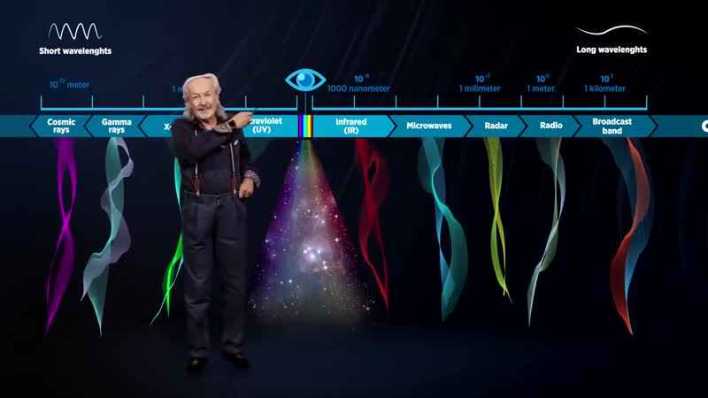 Кто я?! суть существования