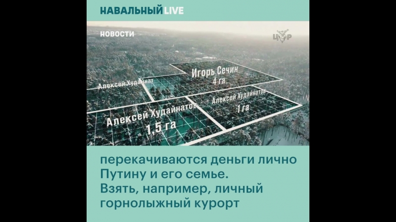 Расследование о сечине