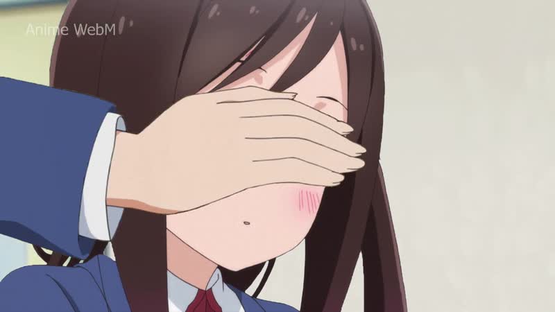 Hitoribocchi no marumaru seikatsu, plastic neesan