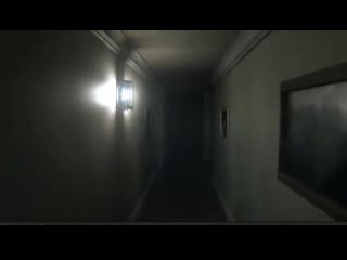 P t camera hack