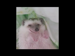 Give me just a little smile