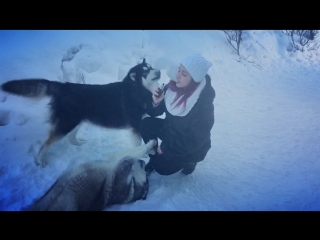 Vape girls and malamute 🎄❄️💨