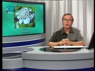 Цветы урок 4 8 декоративные деревья и кустарники часть 3