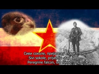 Yugoslav partisan song peregrine falcon (rock version) with english lyrics