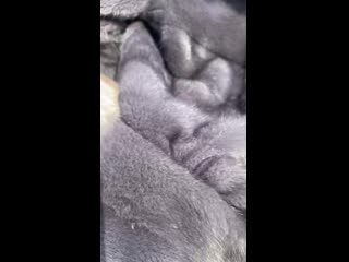 Vid 20200826 103309 854 mp4