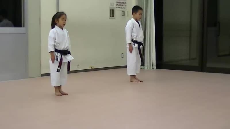 Хейан шодан годан and tekki shodan part 2 (jka mahiro masaki practice)