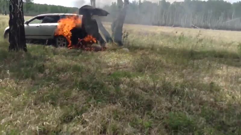 Съездили за грибами🔥🔥🔥