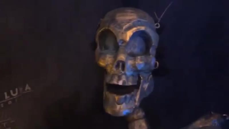 Tanzwut memento mori