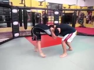 Ronda rousey vs gegard mousasi (sparring)