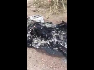 Сожгли девушку в ещё один труп