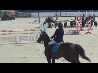 Конаково 120 грум доманчук настя