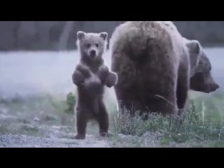 Idi sjudaja s mamoj poznakomlju spcs me mp4