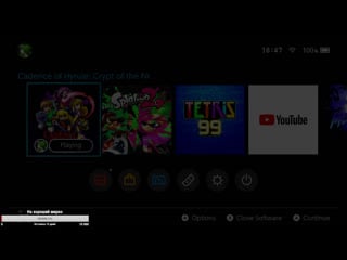 Cadience of hyrule с mgl russia