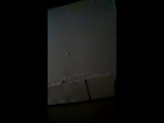 Спортики live