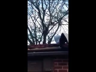 Wcgw if i try to rob a graveyard