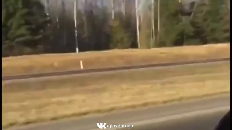 Таксист едет по встречке