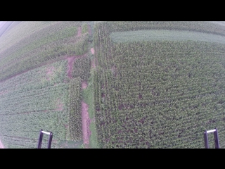 Cofdm transmitter test on uav