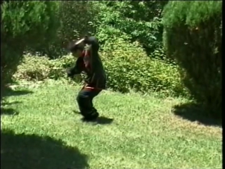 Wudang snake style form with tseng, yun xiang