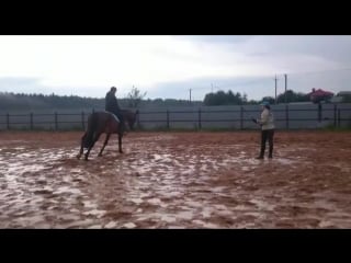 Настя и кагаяна, корда