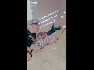 Video povezlo stories 2455280376833422394 36 2455974801817616039 mp4