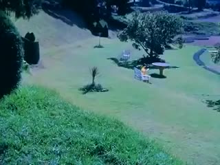 Kishore kumar pal pal dil ke paas