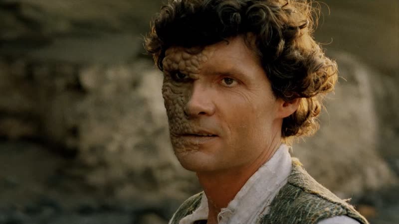 1988 игуана / iguana