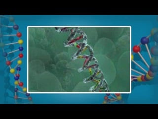 Биология 10 класс урок 2 методы исследования в биологии