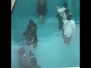 Just a normal swimming pool in japan nothing to see here