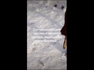 Видео от olga tokareva