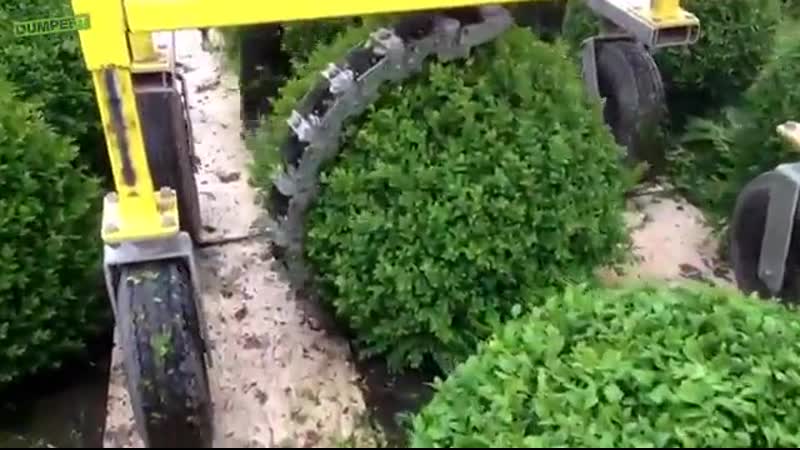 Машинка для стрижки