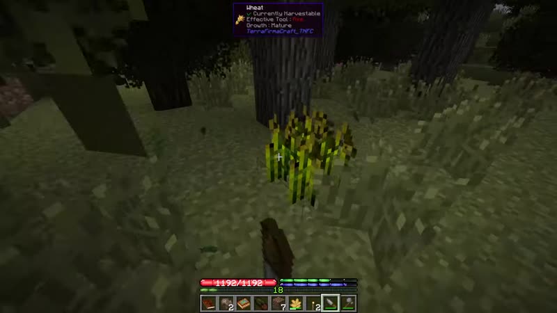 [moddychat] примитив 2 3 потоки жизни! | выживание с модом terrafirmacraft