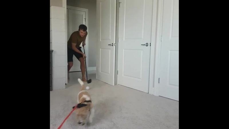 Артемий панарин тренируется со своей молодые