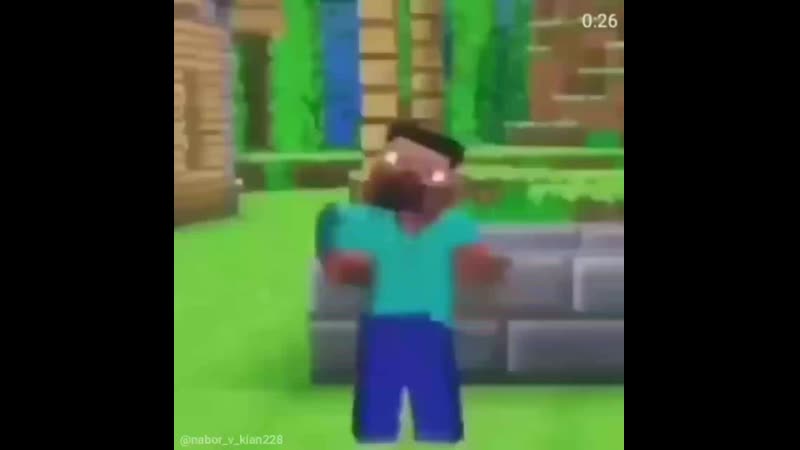 Стив флексит