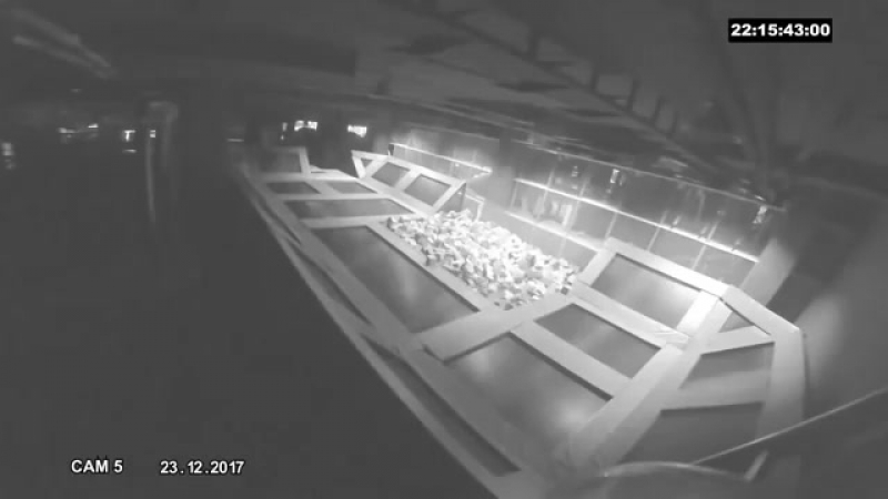 Номинант на премию "отец года")