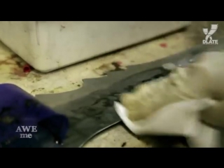 Frostmorn in real life!!!
realy?!?!?