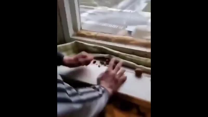 Таким porn video – С таким лучше не связываться😆
