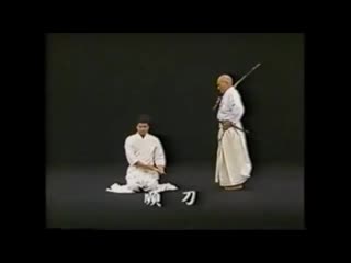 Hakuo sagawa muso shinden ryu omori ryu (detailed)