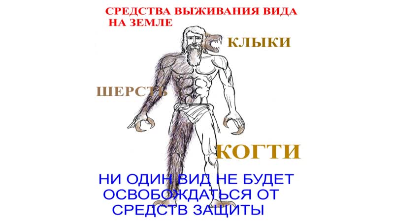 Андрей купцов про невозможность эволюции на планете земля