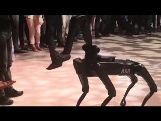 Spotmini (boston dynamics) на usi2018 (4)