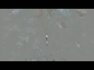 Nana mizuki trickster (live @ fresh fighter eng subbed)