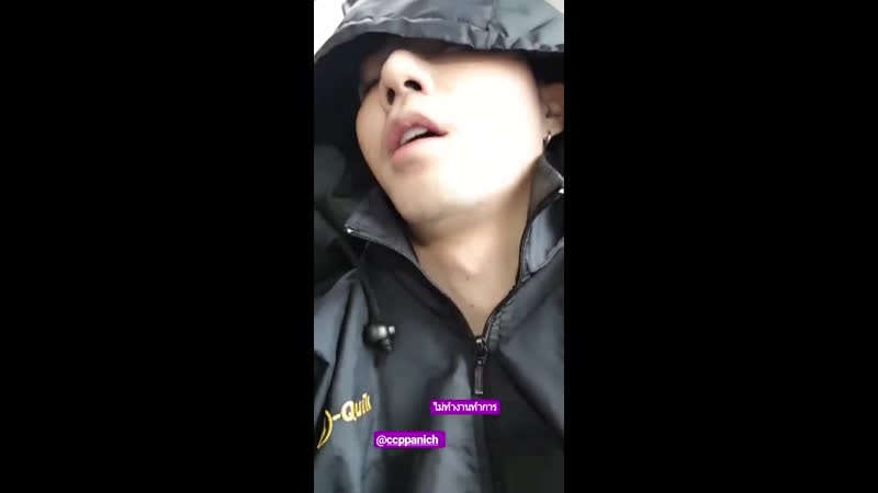 Спящая коала х1