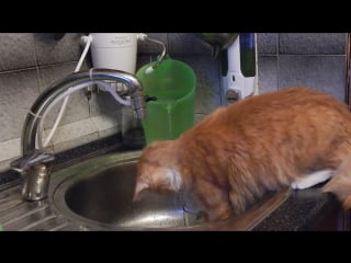 Пробы воды после фильтра