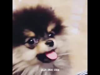 • yeontan • sweet baby •