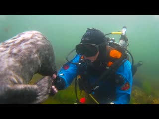 Robbe gets to know divers and shakes his hand