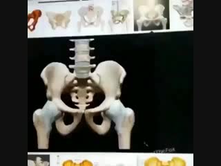 Porn комменты (читай описание) секс порно геи молодые милф анал, инцест зрелые би лесби milf бдсм