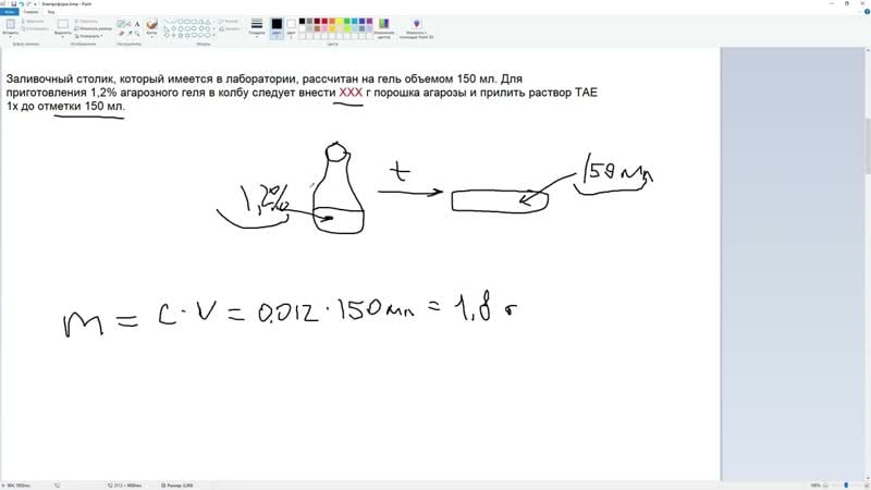 Mb5 как решать задачи на электрофорез днк