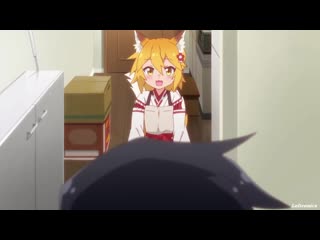 Sewayaki kitsune no senko san