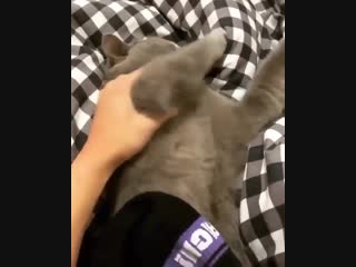 Химическое оружие