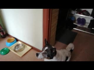 Vid 20201221 153628 mp4