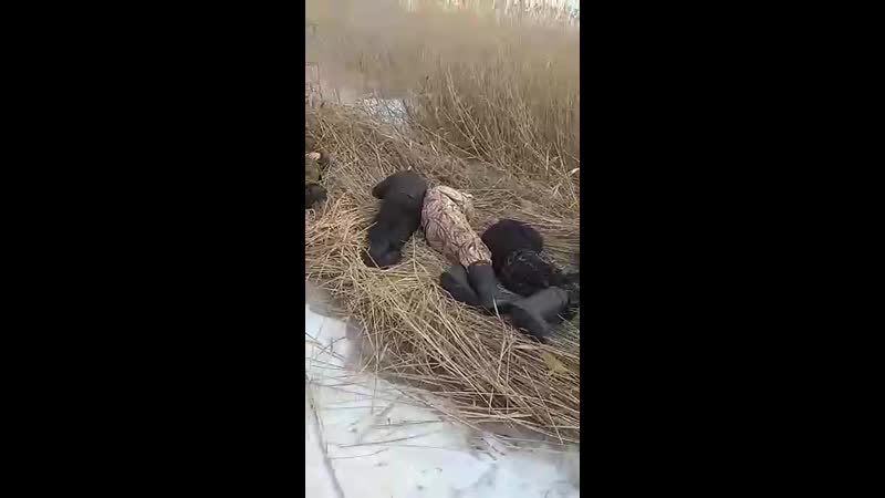 Рыбаки porn video – Рыбаки спасли рыбу (360p) mp4